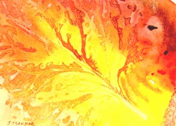 Sun Splash Joan O'Connor Sun Prairie WI watercolor
